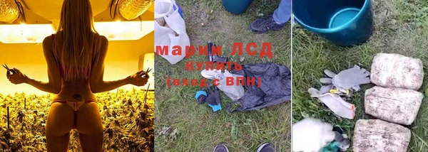 ПСИЛОЦИБИНОВЫЕ ГРИБЫ Аркадак