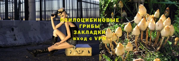 прущая мука Арсеньев