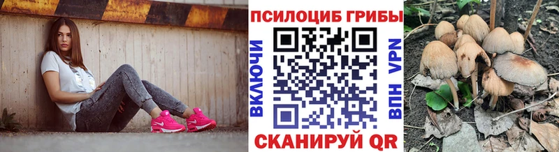 Галлюциногенные грибы Psilocybine cubensis купить Салаир